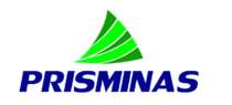 Prisminas
